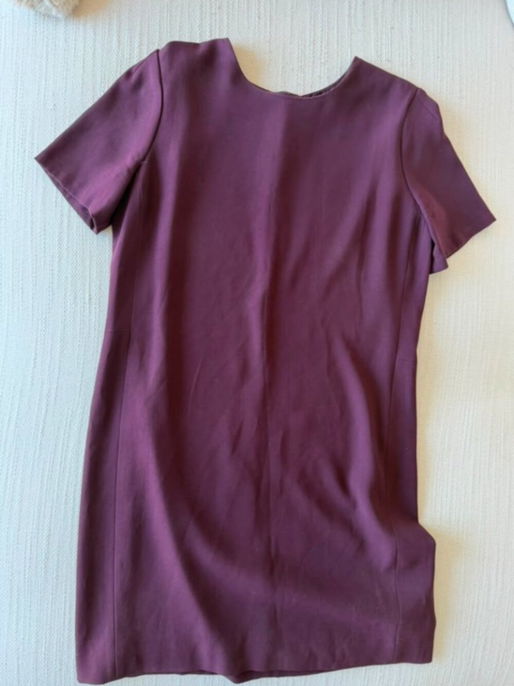 Babaton by Aritzia Burgundy Sheath Mini Dress Size 2